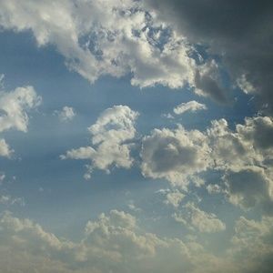 Meet your Posher, Kylee